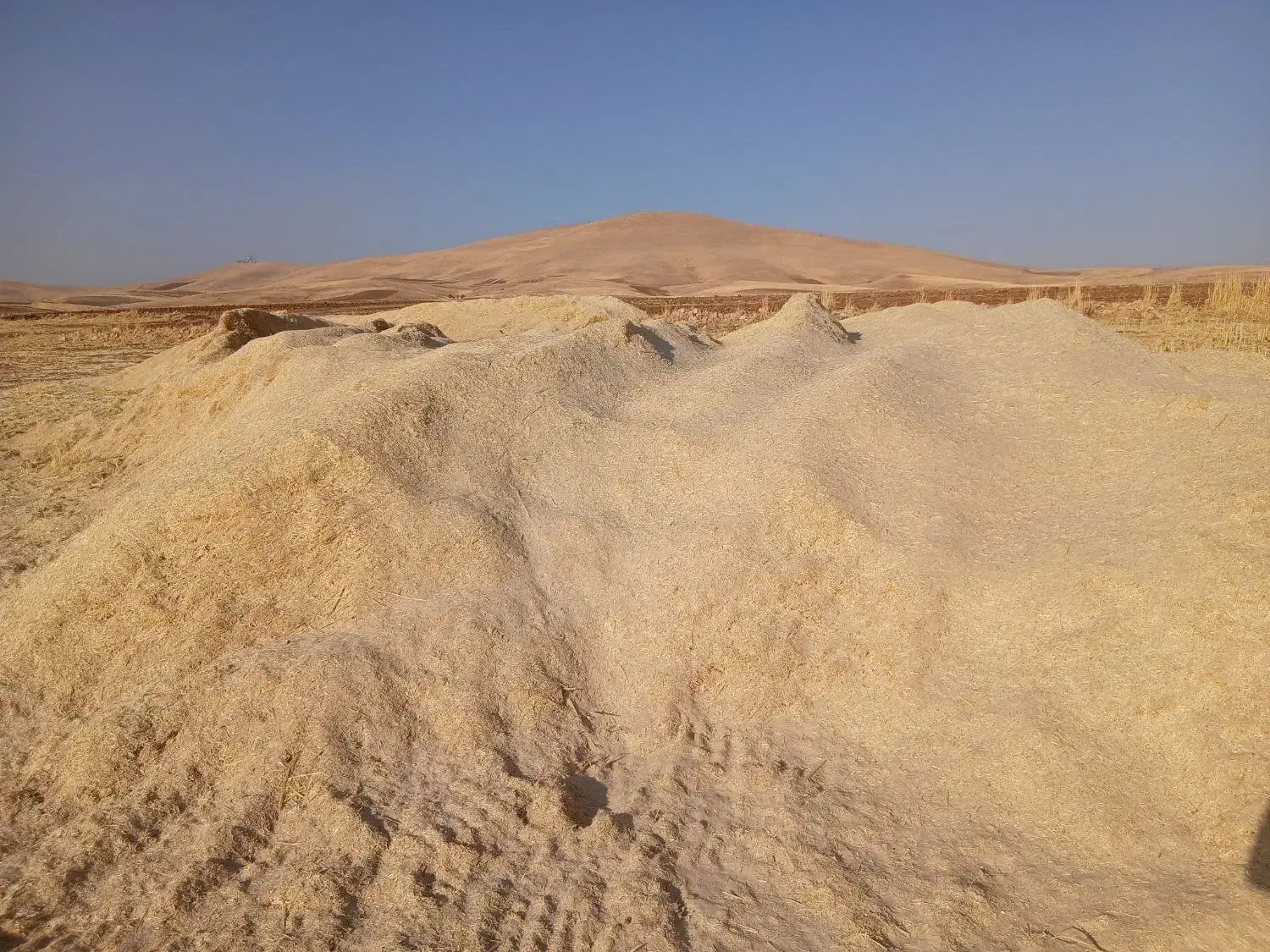 کاه|لوازم جانبی حیوانات|روانسر, |دیوار