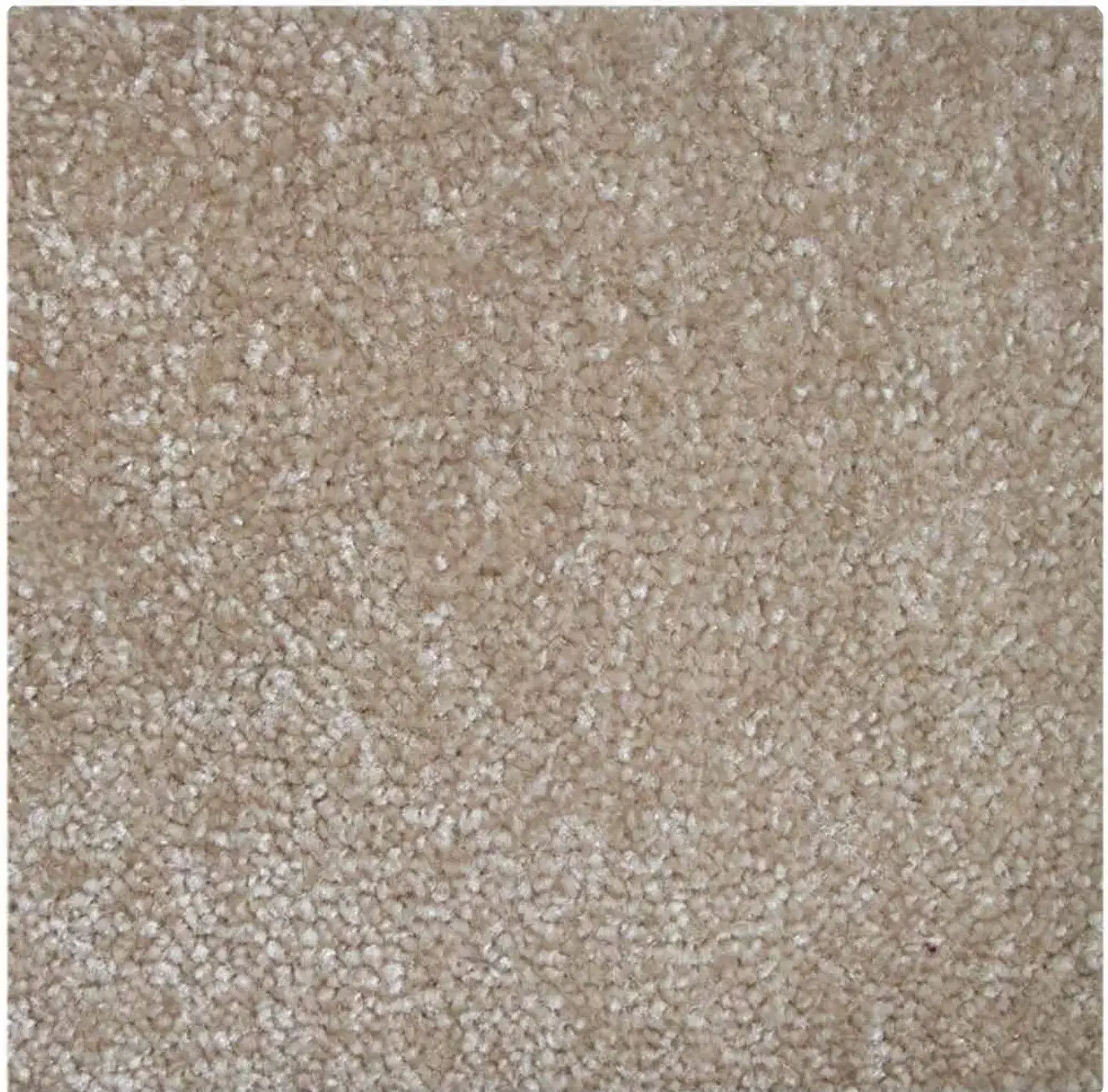 موکت پالاز۴۱۱|موکت|همدان, |دیوار