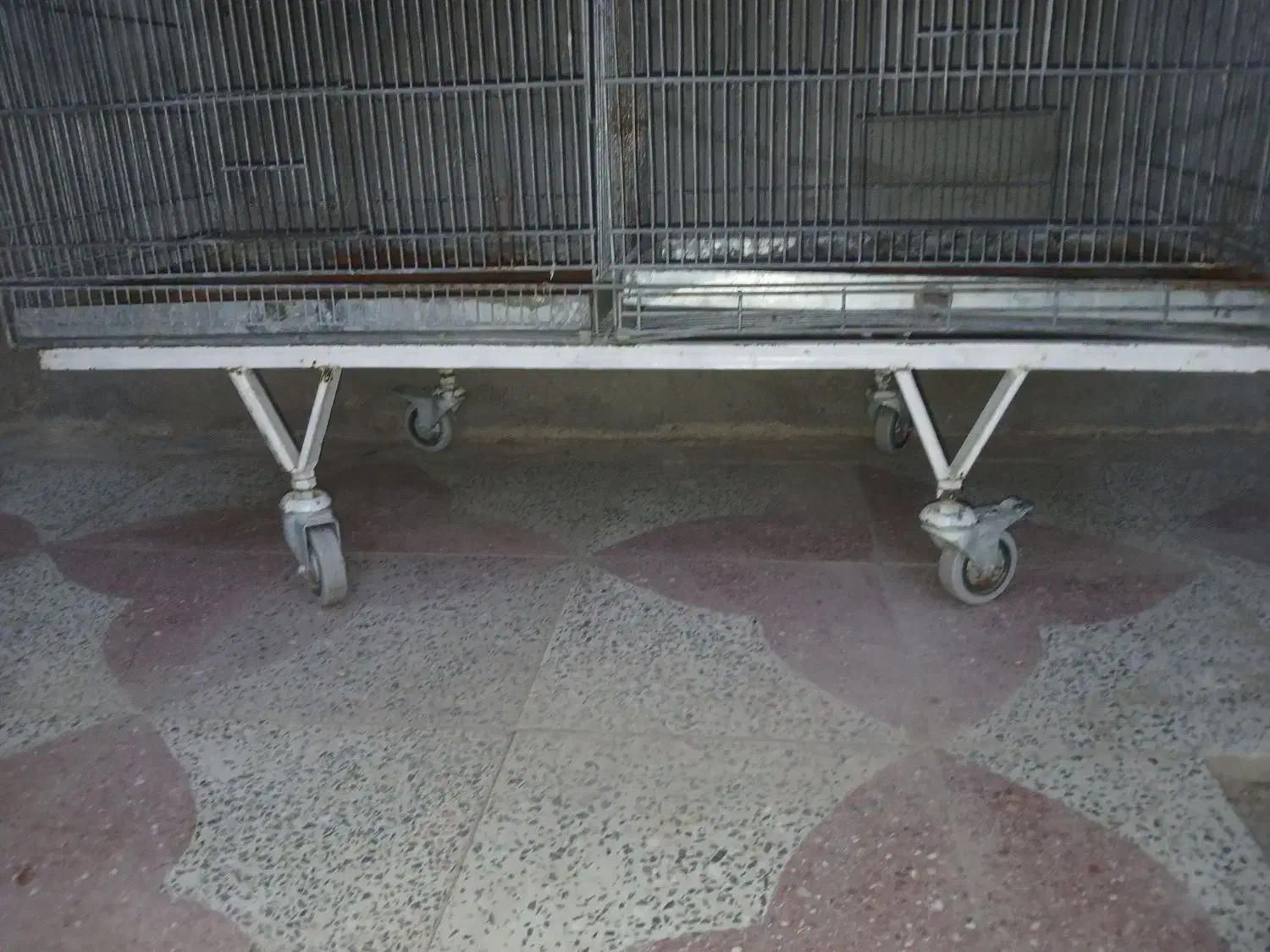 قفس|لوازم جانبی حیوانات|سیرجان, |دیوار