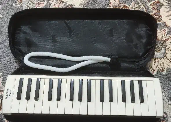 ملودیکا مدل مکستور تایوان|پیانو، کیبورد، آکاردئون|شاهینشهر, خانه کارگر|دیوار