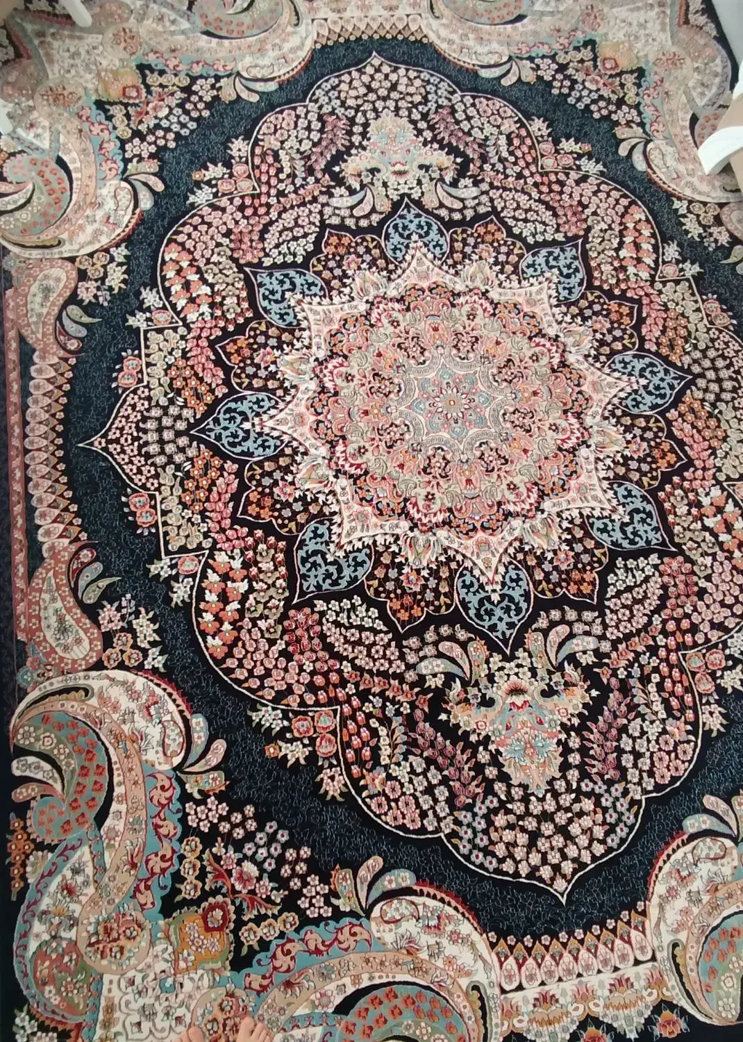 فرش۱۲و ۶متری آرا مشهد|فرش|شاهرود, |دیوار