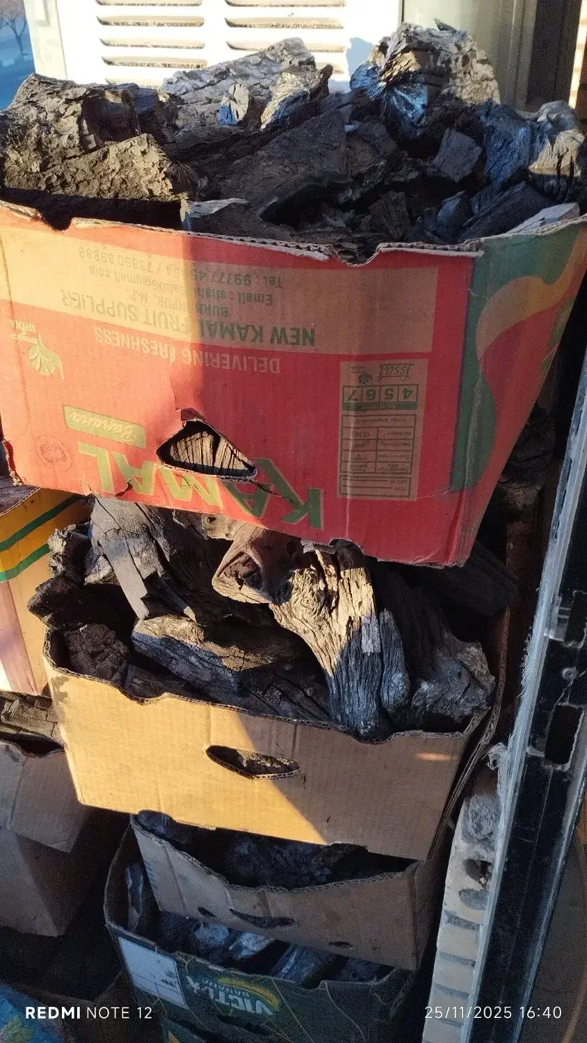 30تا کارتون ذغال پسته|عمده‌فروشی|شهر بابک, |دیوار