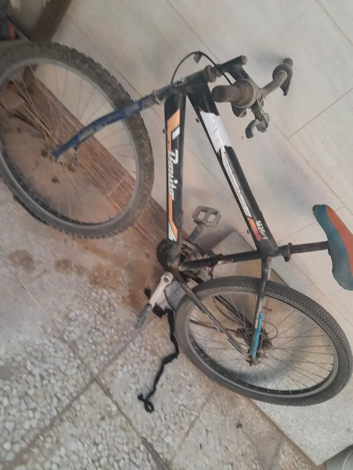 دوچرخه|دوچرخه، اسکیت، اسکوتر|برازجان, |دیوار