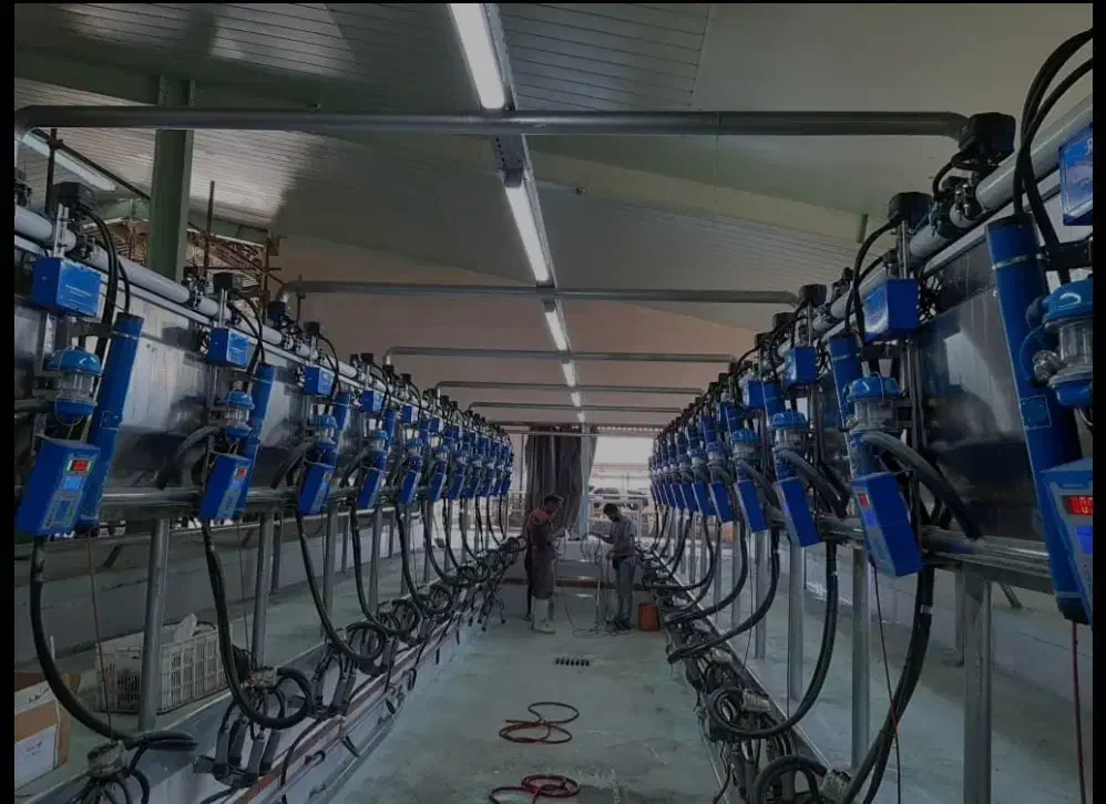 پیمانکاری تاسیسات گاودراری|خدمات پیشه و مهارت|ابهر, |دیوار