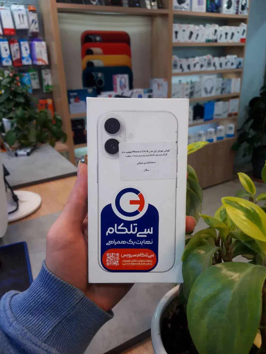 آیفون ۱۶ نرمال پلمپ|موبایل|قزوین, |دیوار