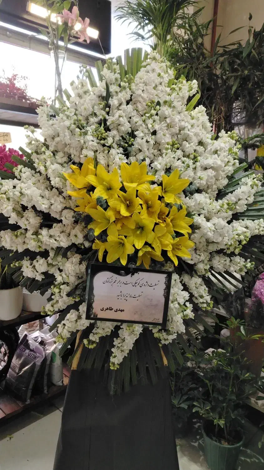 فقط 3500|گل و گیاه طبیعی|تهران, سبلان (لشگر)|دیوار