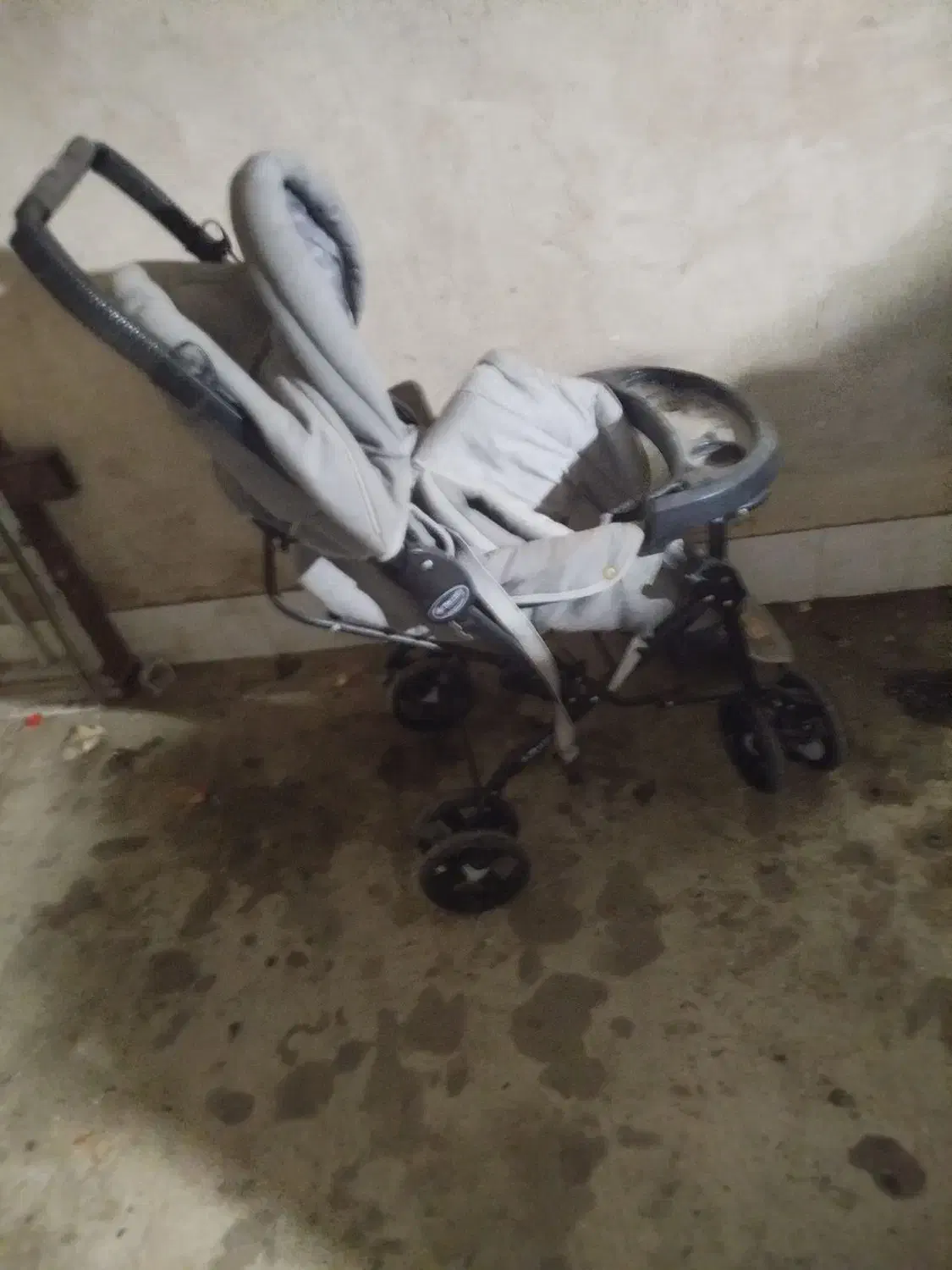 کالسکه|کالسکه و لوازم جانبی|گنبد کاووس, |دیوار