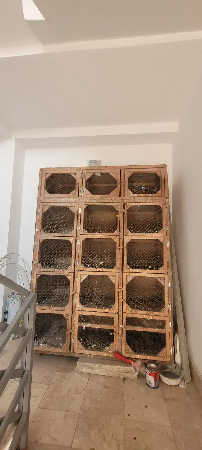 جفتگاه کبوتر|لوازم جانبی حیوانات|نشتارود, |دیوار