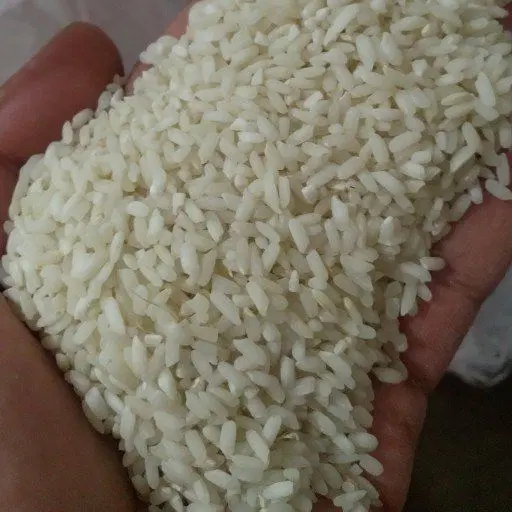 برنج|خوردنی و آشامیدنی|فلارد, |دیوار