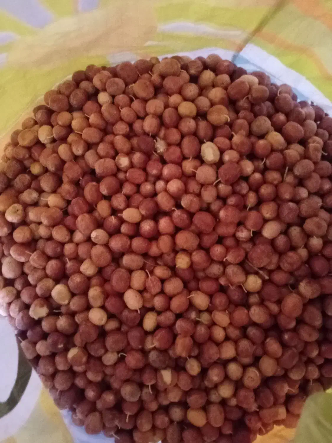 تخمه افتابگردان و سنجد  فروش فوری بصورت عمده|خوردنی و آشامیدنی|ماهنشان, |دیوار