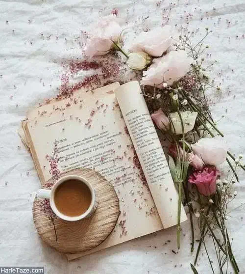 انواع مشگل گشا|فعالیت داوطلبانه|بروجرد, |دیوار