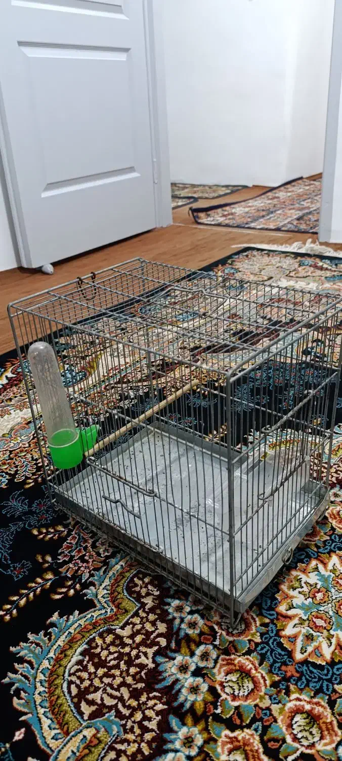 قفس|لوازم جانبی حیوانات|همدان, |دیوار