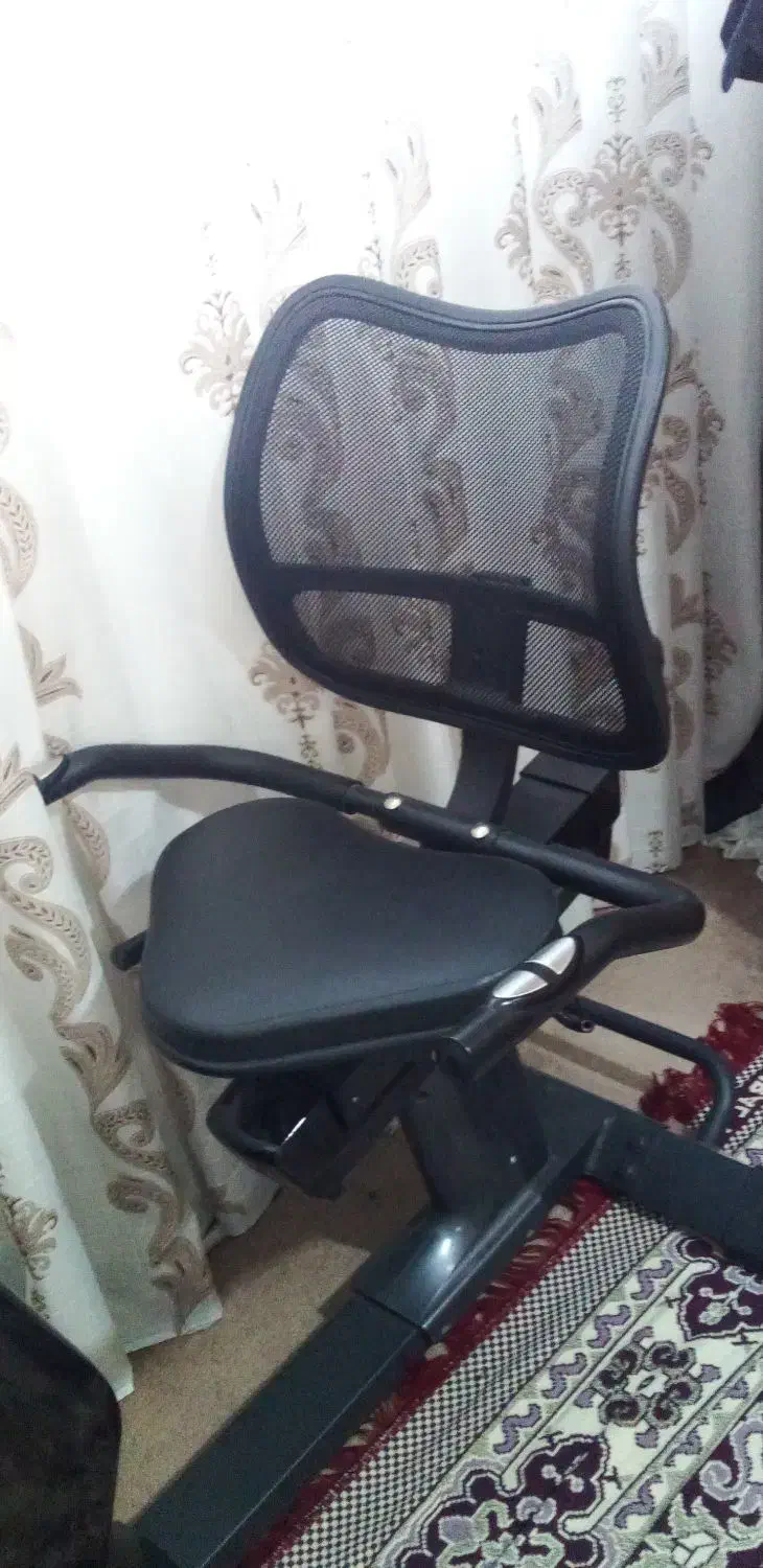 دوچرخه ثابت ورزشی مبله پشتی دار استینگری|تجهیزات ورزشی|ری, منصوریه منگل|دیوار