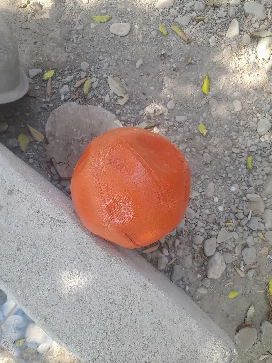 توپ بسکتبال|ورزش‌های توپی|میناب, |دیوار