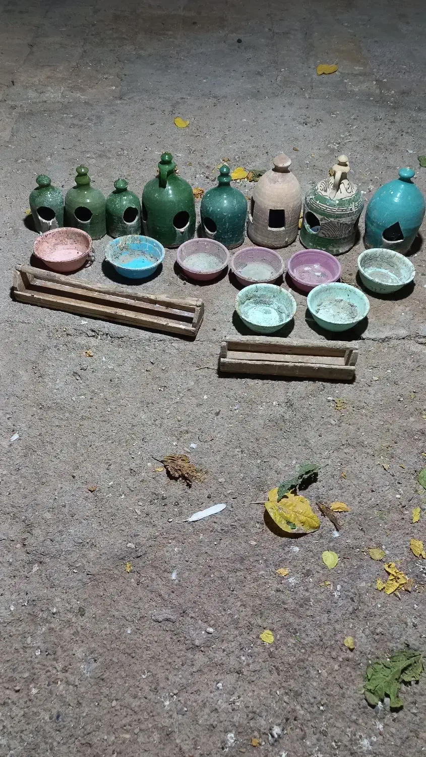 دونخوری  و آب خوری  جا تخمی   کفتر|پرنده|قم, چهار مردان|دیوار