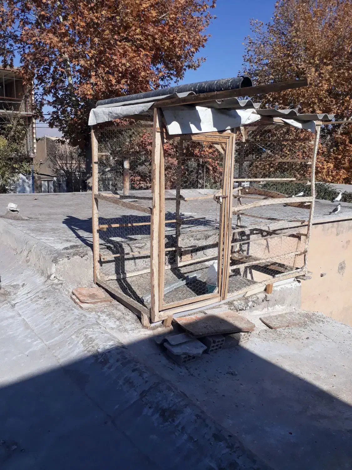 قفس کبوتر مرغ|لوازم جانبی حیوانات|دورود, |دیوار