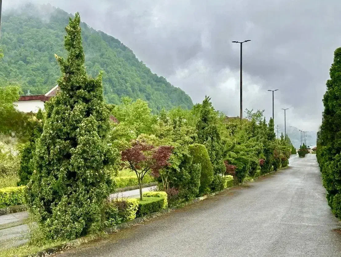 شهرک ساحلی در نشتارود سنگ فرش شده کاملا مسکونی|فروش زمین و ملک کلنگی|نشتارود, |دیوار