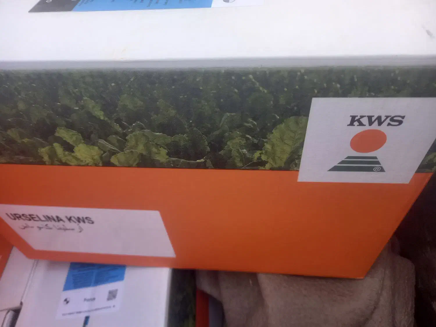 قرارداد تحویل چغندر به کارخانه|خدمات باغبانی و درختکاری|سرپل ذهاب, |دیوار