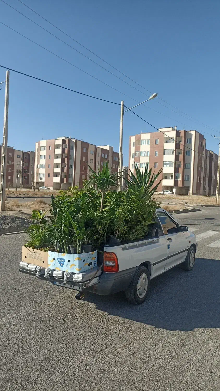 حمل بار پراید وانت|خدمات حمل و نقل|اسفراین, |دیوار