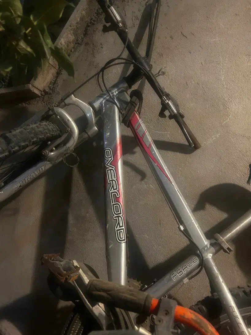 دوچرخه سایز ۲۶|دوچرخه، اسکیت، اسکوتر|ماهدشت, |دیوار