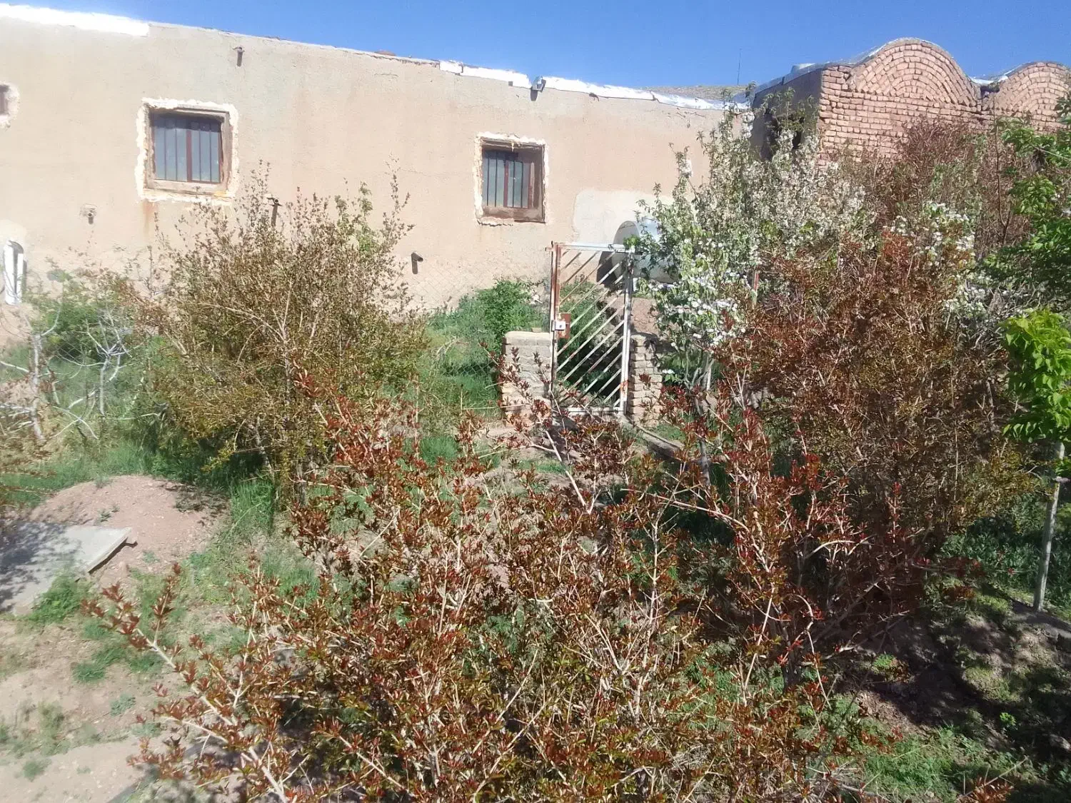 فروش باغچه|فروش زمین و ملک کلنگی|پلنگ آباد, |دیوار