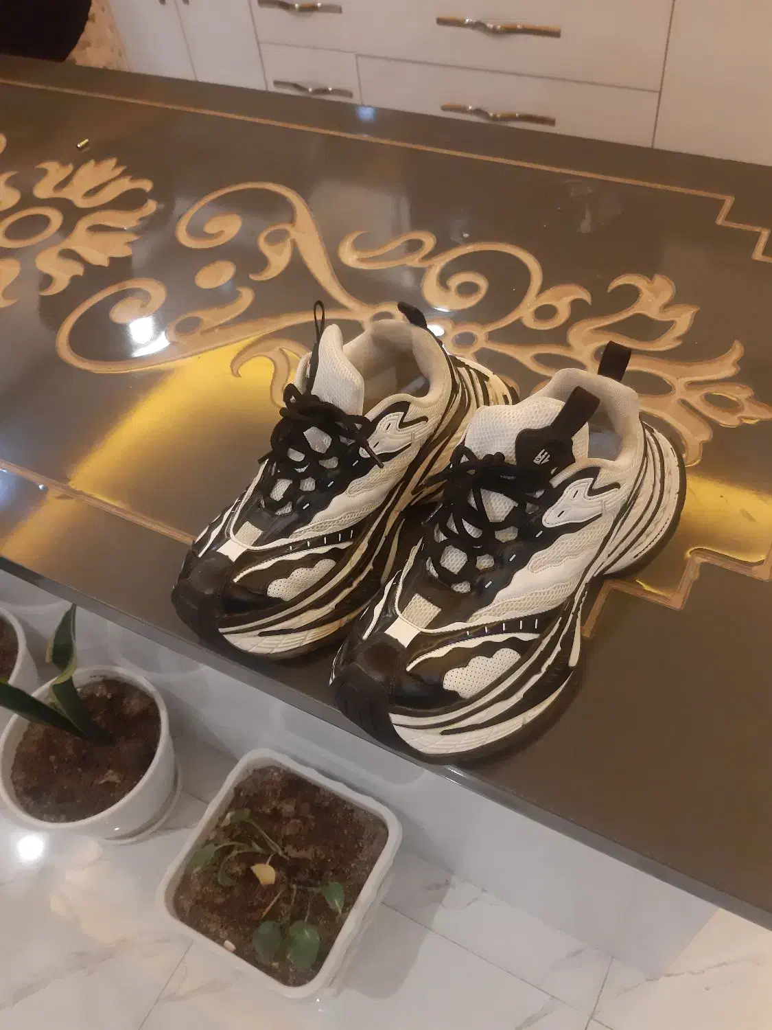 کتونی اورجینال|کیف، کفش، کمربند|کرج, کمال‌شهر|دیوار