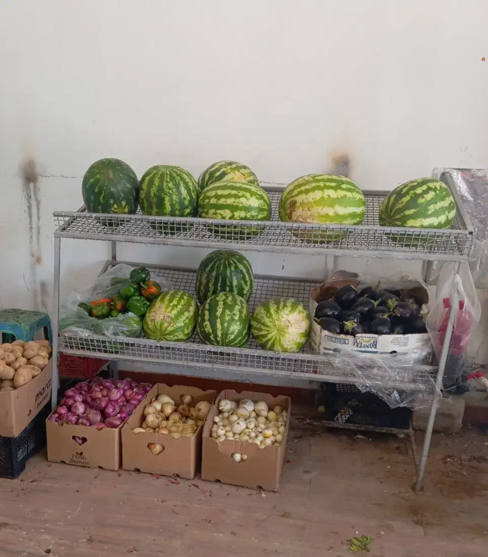 قفسه میوه|فروشگاه و مغازه|بندر ماهشهر, |دیوار