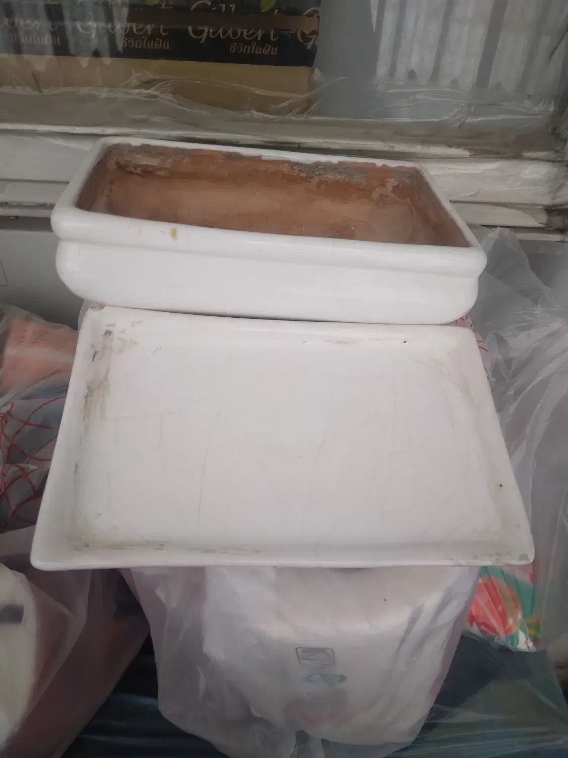 گلدان|گل و گیاه طبیعی|تهران, تهران‌ویلا|دیوار