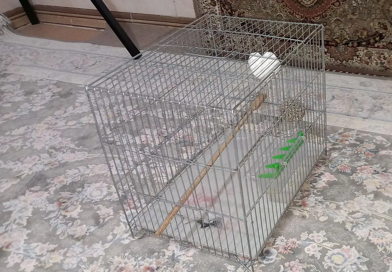 قفس پرنده|لوازم جانبی حیوانات|کرج, خرمدشت|دیوار