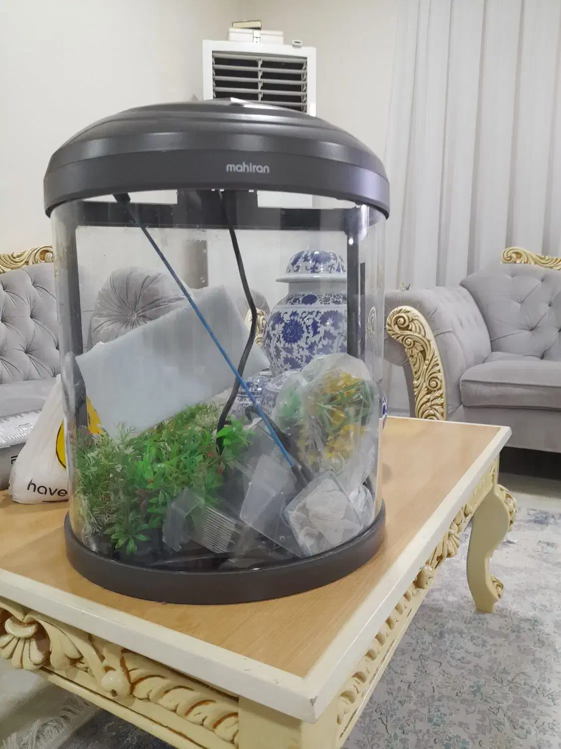 آکواریوم نو|ماهی|اهواز, کوی فرهنگیان ۲|دیوار