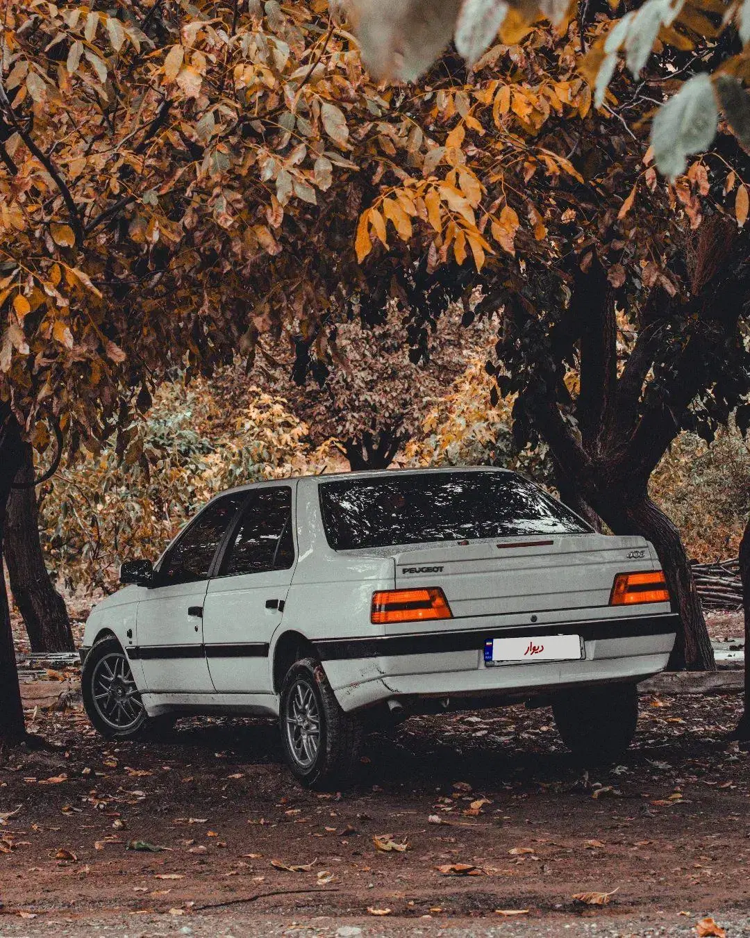 slx97|خودرو سواری و وانت|تهران, بوستان ولایت|دیوار