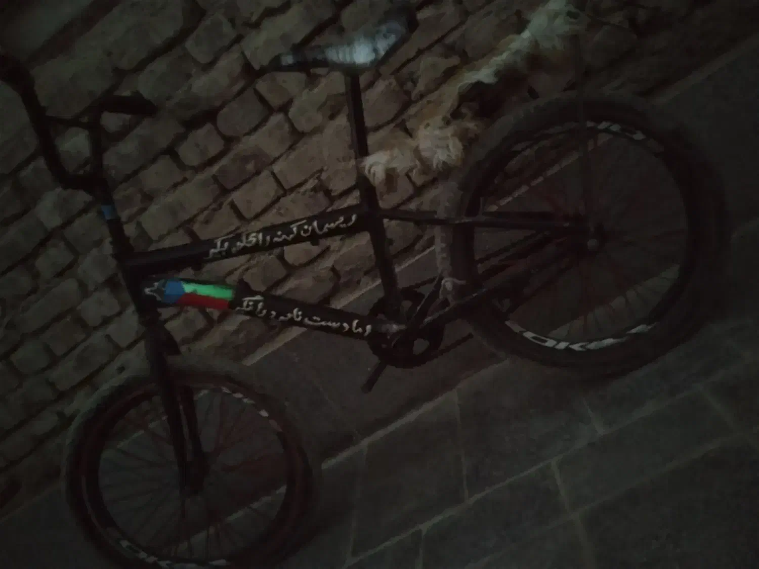 دوچرخه 20|دوچرخه، اسکیت، اسکوتر|سراوان, |دیوار