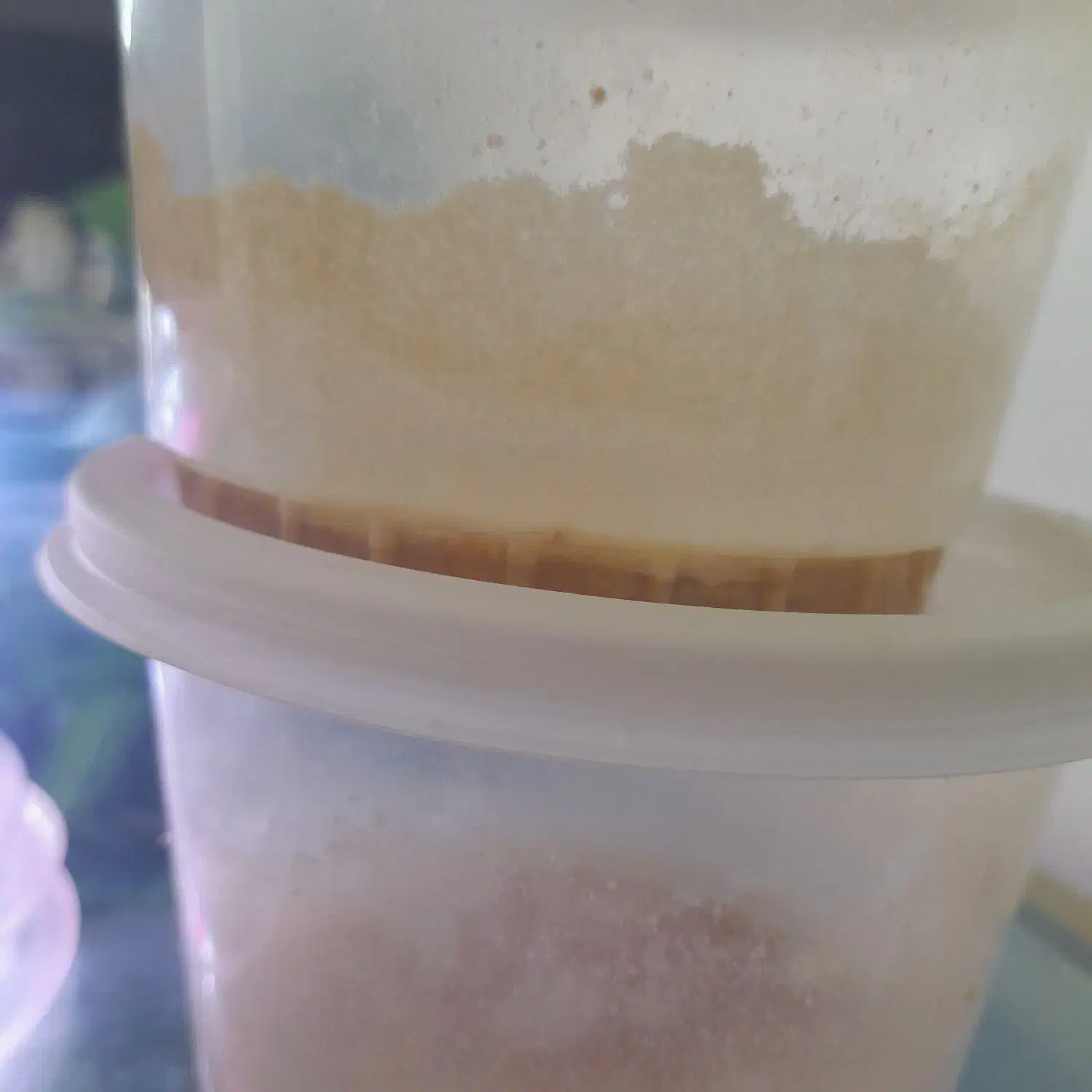 ماهی گوپی ومیکروورم|ماهی|اصفهان, طامه|دیوار