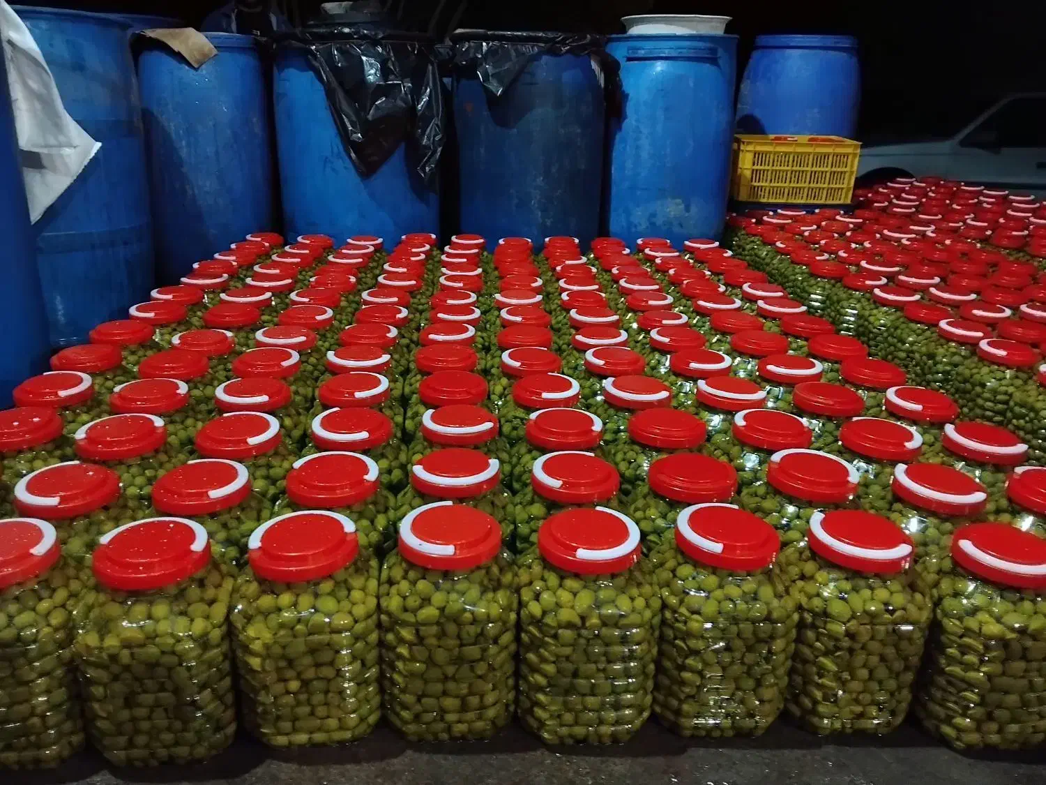 زیتون وروغن زیتون صدرصد تضمینی|عمده‌فروشی|گیلوان, |دیوار