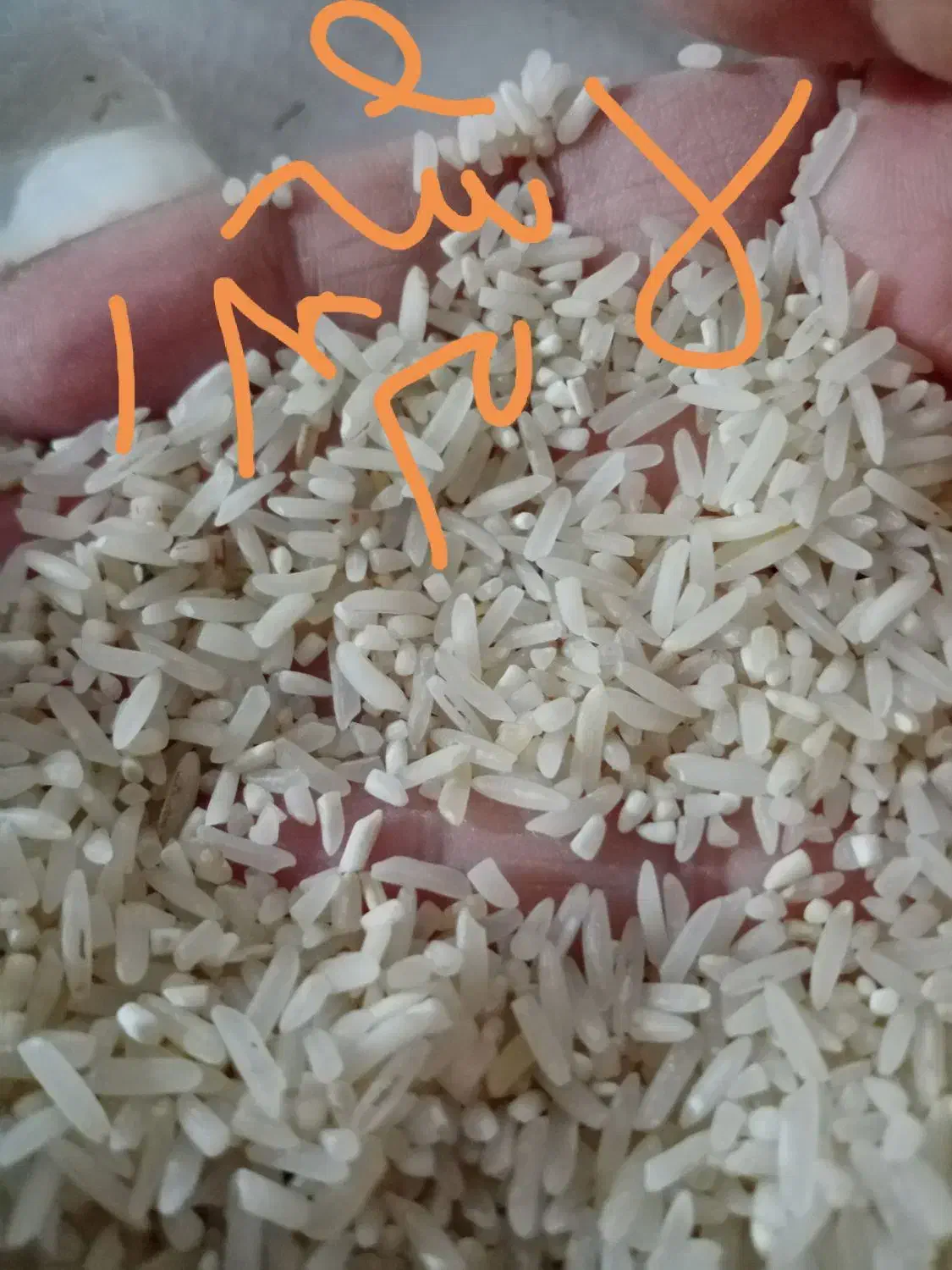 برنج فجرخوش پخت خوش طعم|عمده‌فروشی|گنبد کاووس, |دیوار