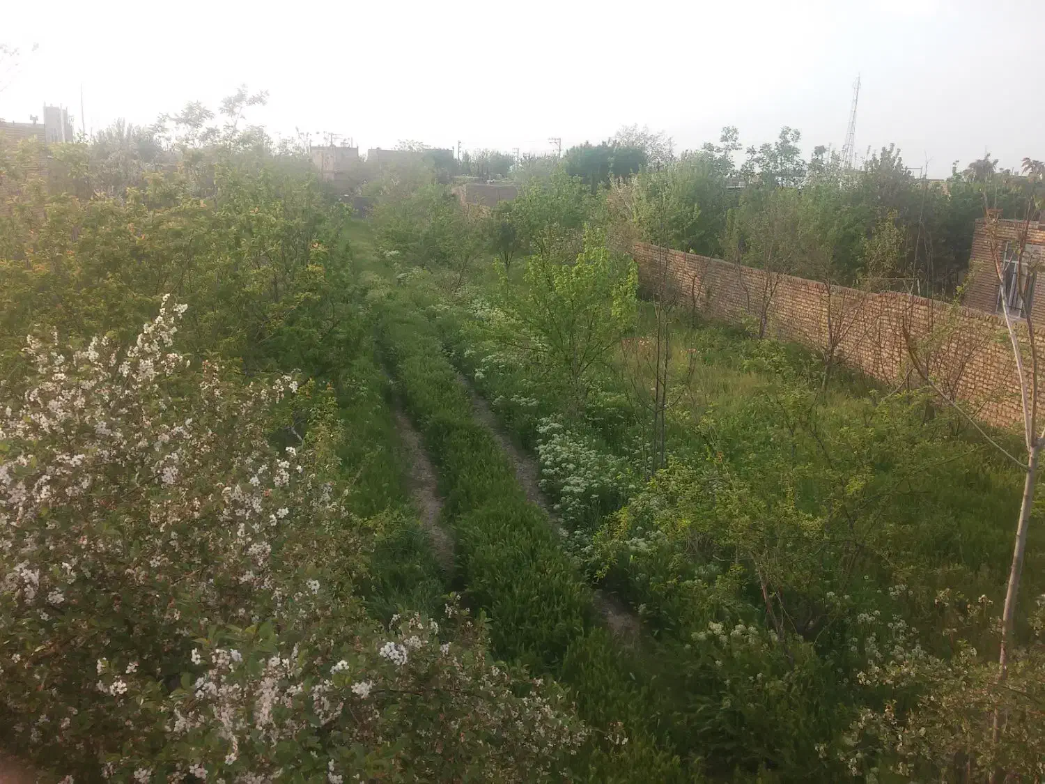 ۷۵۰متر سندتک برگ فروش بصورت نقد یا تهاتر بازمرگان|فروش زمین و ملک کلنگی|مشهد, میان ولایت|دیوار