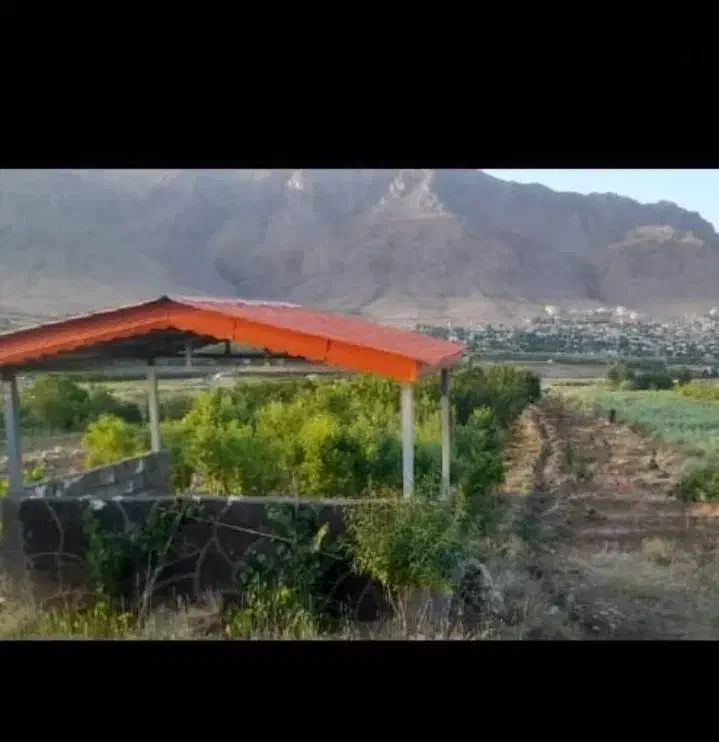 باغ همراه با آلاچیق فریدونشهر|فروش زمین و ملک کلنگی|فریدونشهر, |دیوار