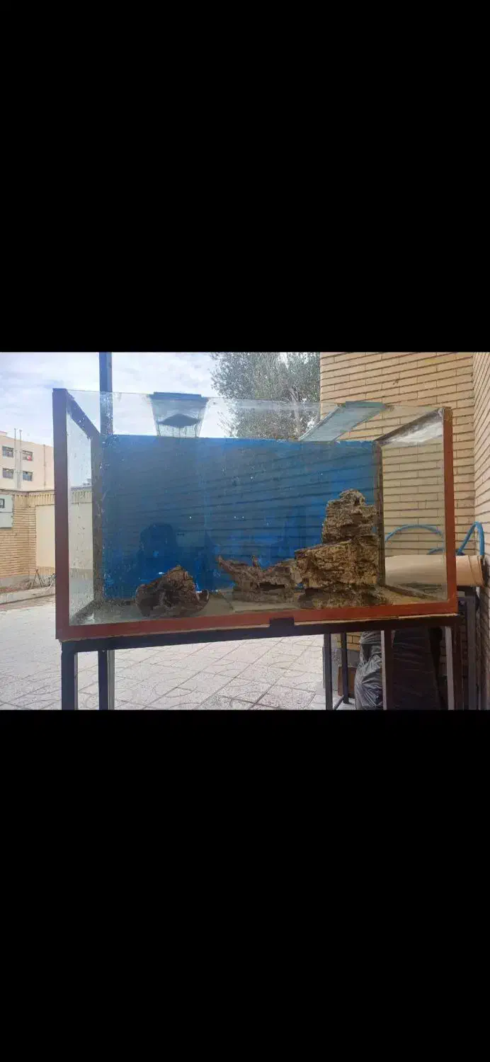 آکواریوم بزرگ باسنگ قیمت توافقی|ماهی|جم, |دیوار
