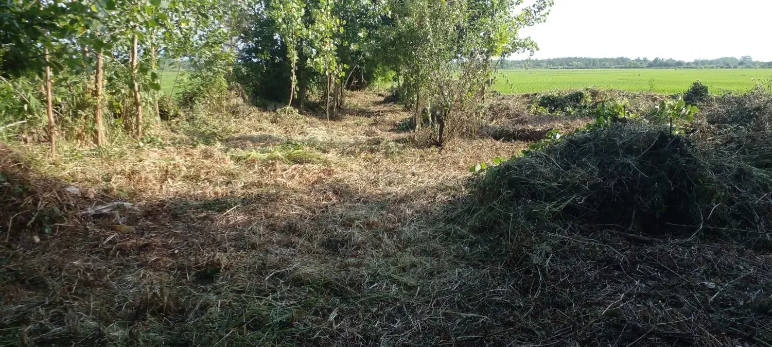 علفتراشی با دستگاه|خدمات باغبانی و درختکاری|لاهیجان, یوسف آباد|دیوار