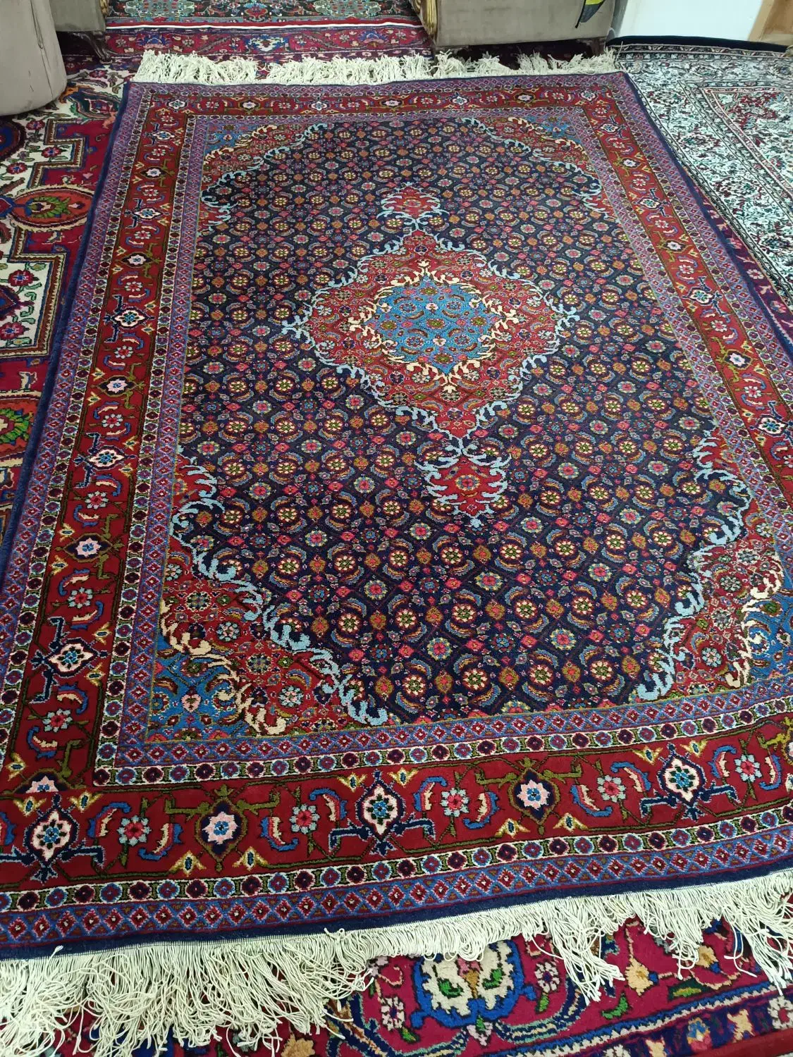 فرش دستباف ۶ متری|فرش|اردبیل, |دیوار