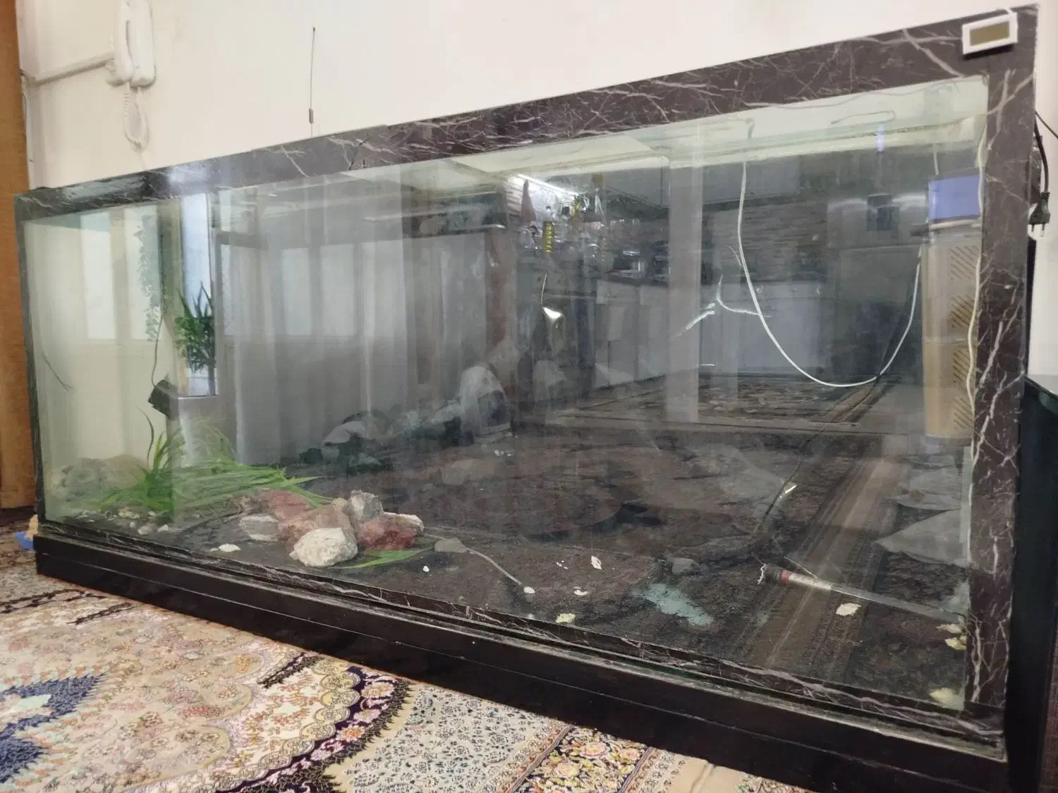 آکواریوم|ماهی|خرمآباد, |دیوار