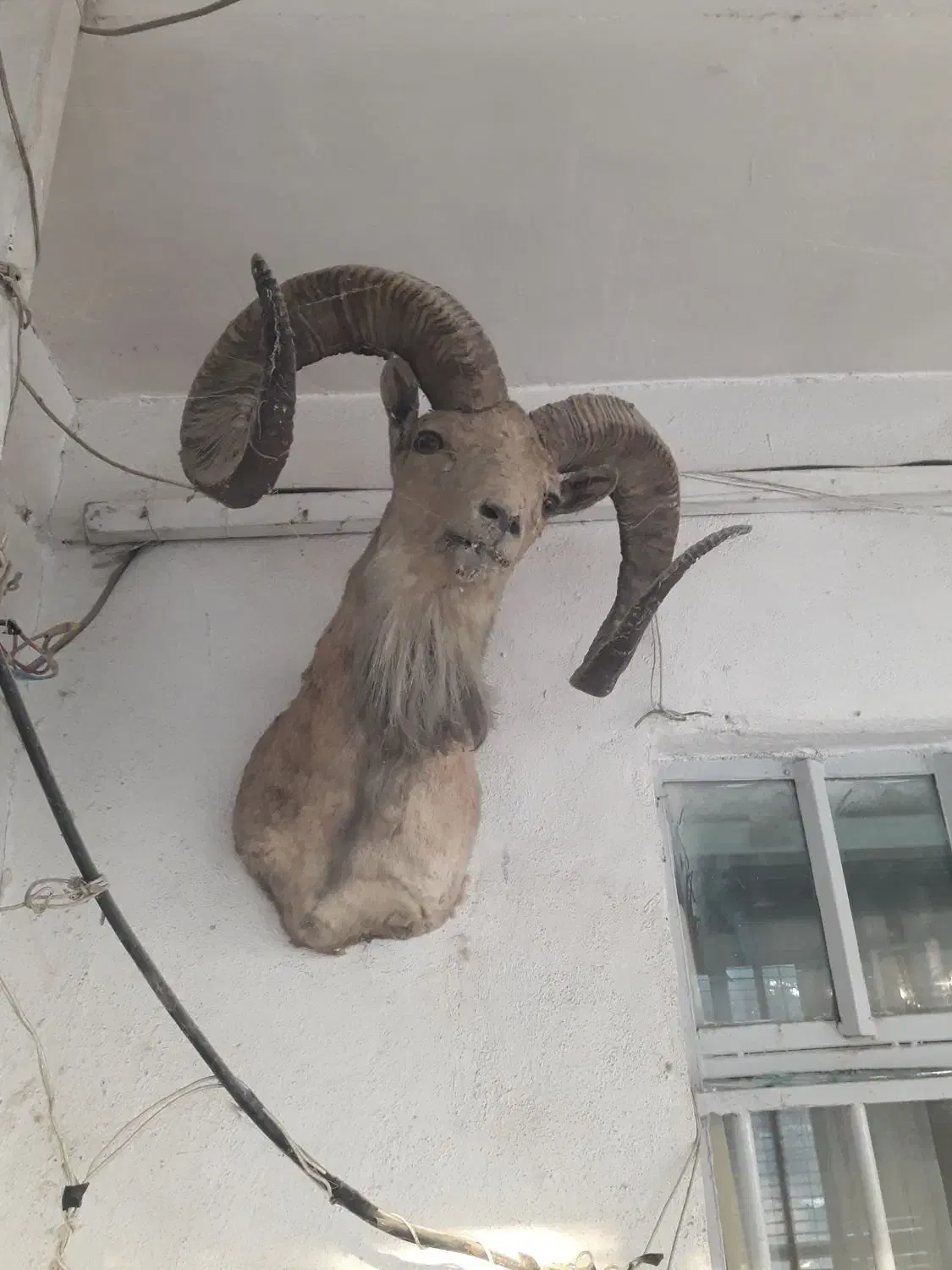 وسایل منزل|اجاق گاز و لوازم برقی پخت‌وپز|هشتگرد, سیف آباد|دیوار