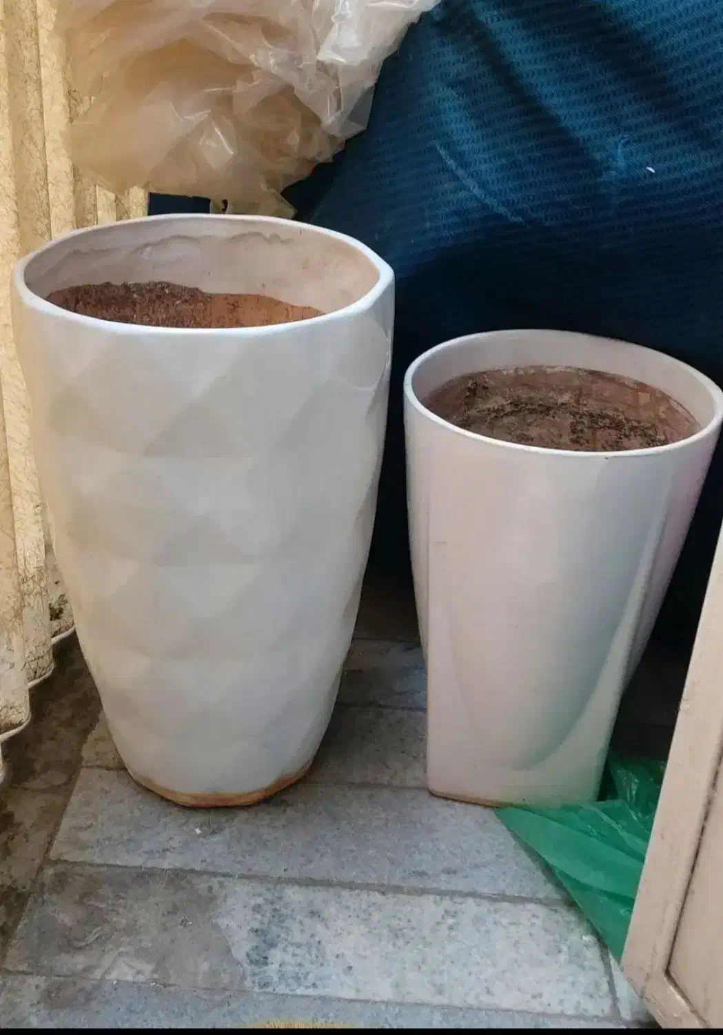 گلدان سرامیکی|گل و گیاه طبیعی|تهران, آهنگران (سراسیاب دولاب)|دیوار