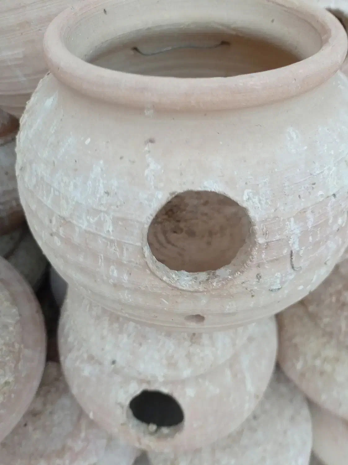 لونه پرنده|لوازم جانبی حیوانات|کرمان, |دیوار