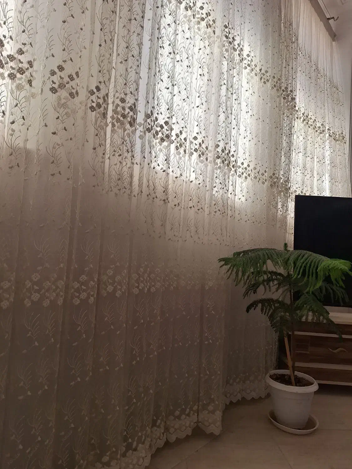 پرده|پرده، رانر، رومیزی|قم, شهرک امام حسن|دیوار