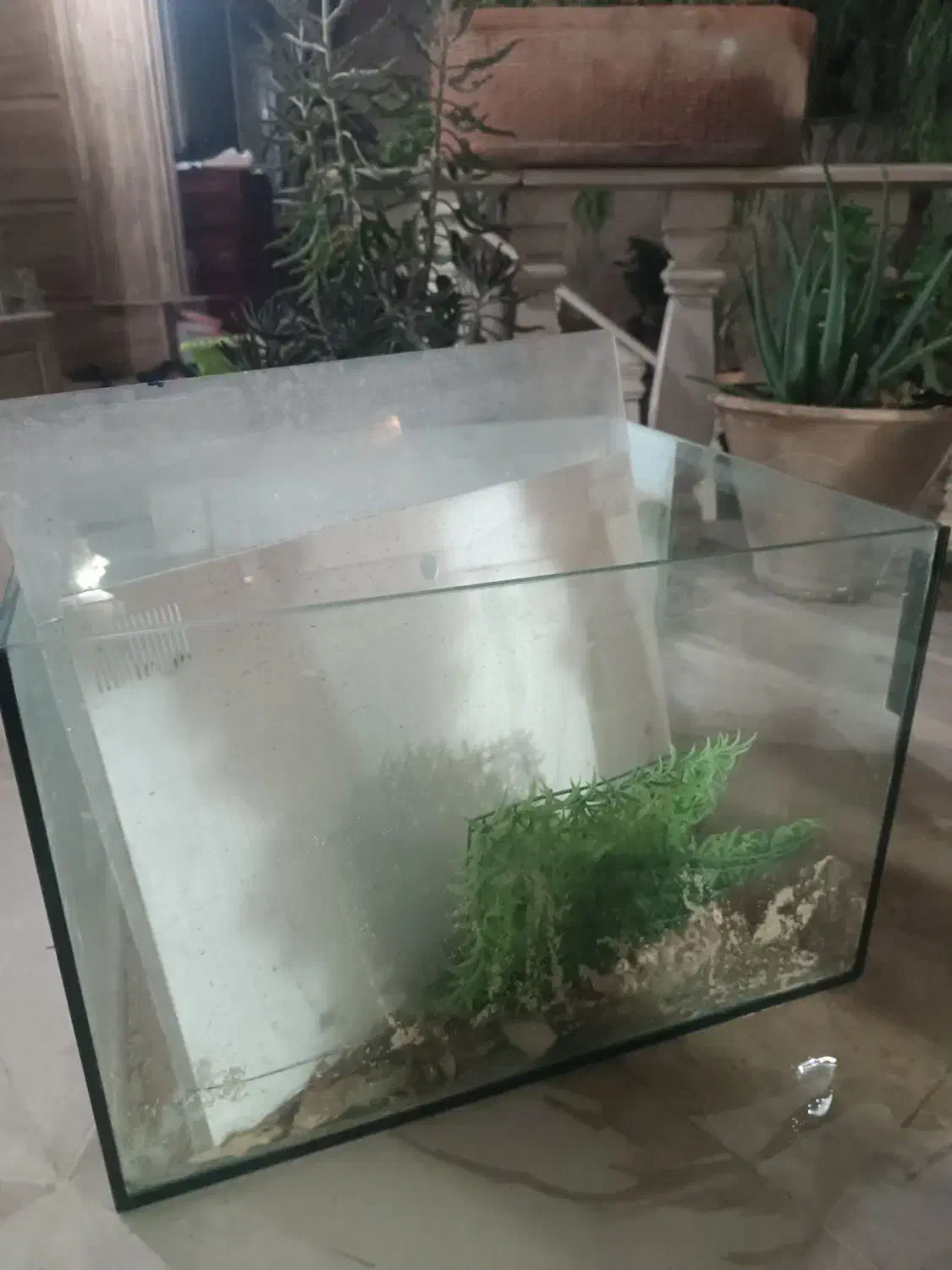 فروش اکواریوم|ماهی|محمدشهر, شهرک چمران|دیوار