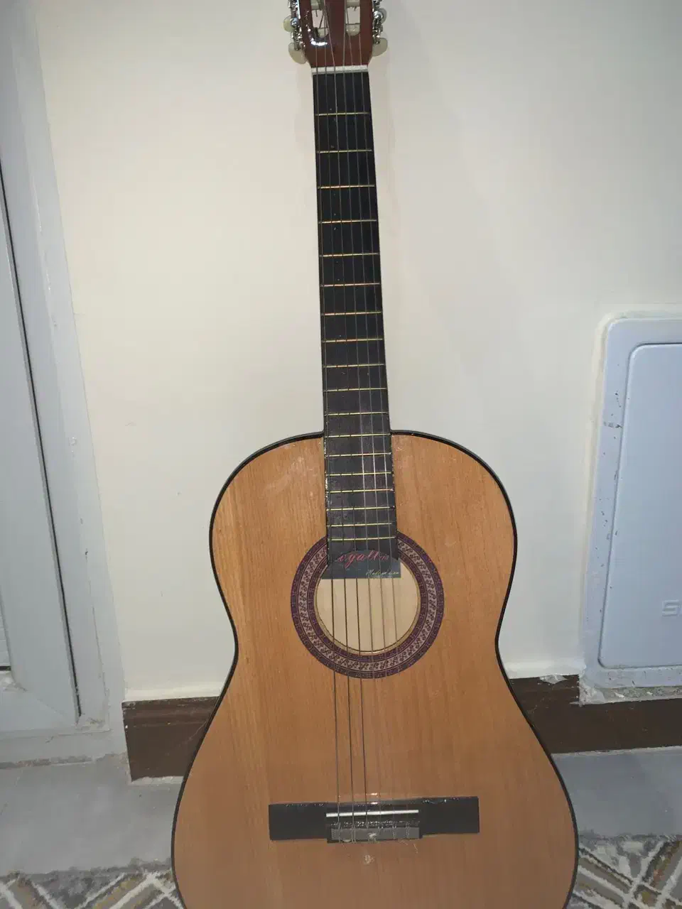 گیتار رویال 110 در حد نو|گیتار، بیس، امپلیفایر|زابل, |دیوار