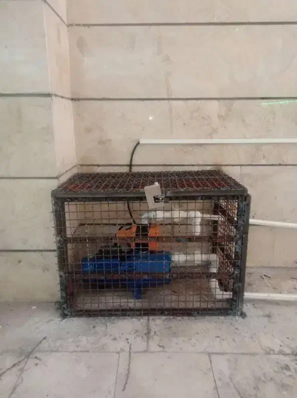 جوشکاری سیار|خدمات پیشه و مهارت|کرمانشاه, |دیوار