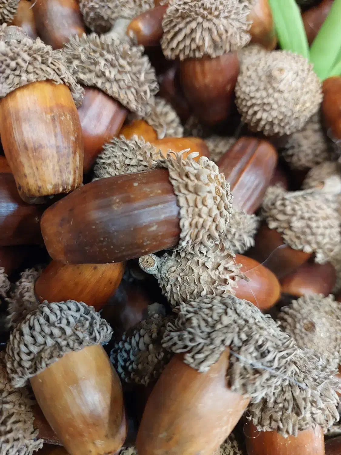 حصیر|صنایع دستی و سایر لوازم تزئینی|تهران, آهنگ|دیوار