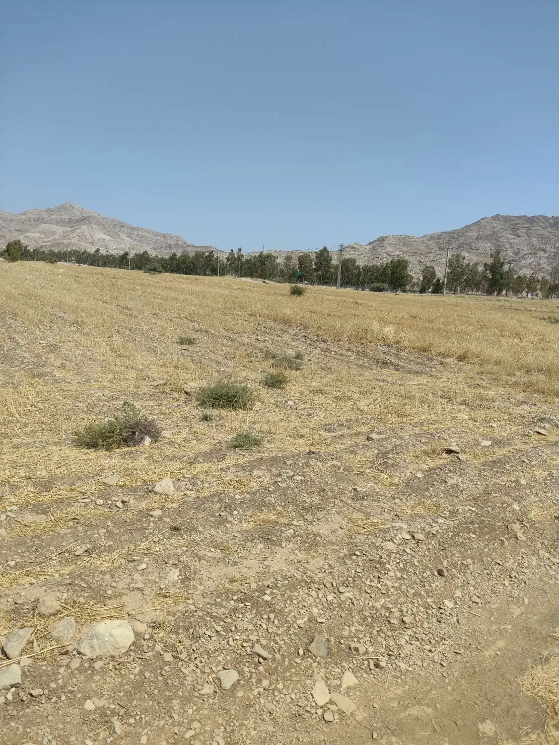 فروش  زمین  ۹۵۰۰ متری در صالح آباد  درجای خوب|فروش دفتر صنعتی، کشاورزی، تجاری|صالح آباد (ایلام), |دیوار